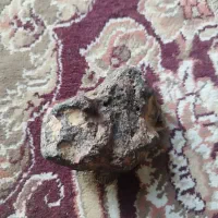 شهاب سنگ|جواهرات|یاسوج, |دیوار