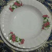 گل سرخ|ظروف سرو و پذیرایی|بهار, |دیوار