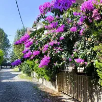 320متر-زمین-مسکونی-سنددار
