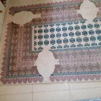 فرش جدید|فرش|قزوین, |دیوار