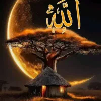 راهنمایی کنید