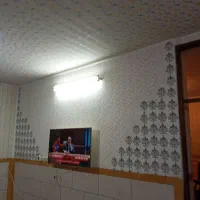 انواع طرح کاغذدیواری بارنگهای مختلف|خدمات پیشه و مهارت|دورود, |دیوار