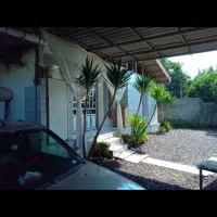 پژو پارس بدون رنگ