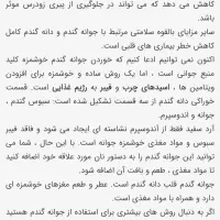 پودر جوانه گندم|خوردنی و آشامیدنی|تربت جام, حافظ|دیوار