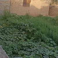 خانه|فروش خانه و ویلا|زابل, |دیوار