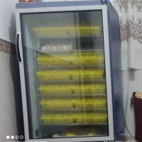 دستگاه جوجه کشی