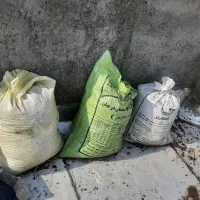 کود کفتر کبوتر