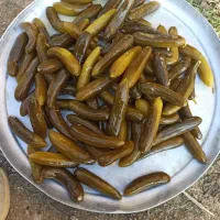 فروش ویژه خیارشور (ممتاز)یک