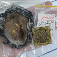 مهره های اصل اصل|کلکسیون اشیاء عتیقه|رامهرمز, |دیوار