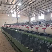 استخدام کارگر دستگاه تابندگی و لاکنی