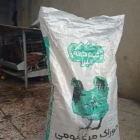 قفس مکانیزه و پلت مرغ تخم‌گذار|لوازم جانبی حیوانات|ساری, |دیوار