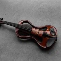 ویلن هافنر الکتریک