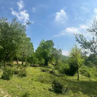 زمین-250-متری
