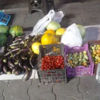 فروش انواع وسایل محلی با قیمت مناسب