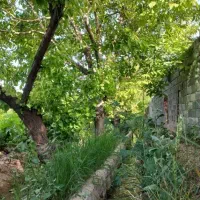 باغ و باغچه ۲۰۰مترچهاردیوار آب،برق انجم آباد(شخصی)|فروش زمین و ملک کلنگی|تهران, امیریه|دیوار