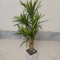 سبدوگلدان گل مصنوعی|گل مصنوعی|اصفهان, خانه اصفهان|دیوار