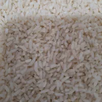 لاشه هاشمی سورتیگ زده ۱۰۰ کیلو موجوده