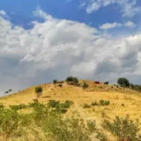 فروش ملک و زمین