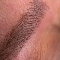 مدل رایگان فیبروز ابرو (میکروبلیدینگ)|خدمات آرایشگری و زیبایی|کرمان, |دیوار