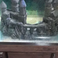 اکواریوم با لجن خوار طلایی و لوازم|ماهی|اسلامشهر, شهرک قائمیه|دیوار