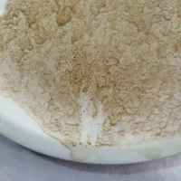 فال قهوه تاروت دعاهای رحمانی|خدمات پذیرایی، مراسم|مشهد, آزادشهر|دیوار