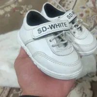 ست تدی برای یک سال|کفش و لباس بچه|مشهد, ثامن|دیوار