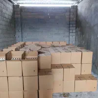 پخش تخممرغ روز|خوردنی و آشامیدنی|گنبد کاووس, |دیوار