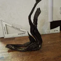 گله کت فیش ویسکرز ، چوب آبنوس نیم متری|ماهی|رشت, چله خانه|دیوار