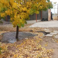 باغ-ویلا-450متری