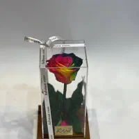 رزجاودان - رز جاودان - گل