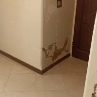 نقاشی و رنگ آمیزی ساختمان