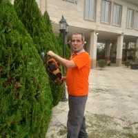 خدمات باغبانی و سمپاشی پامچال