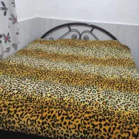 تخت خواب دونفره آهنی همراه با تشک پنبه ای