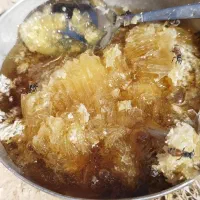 فروش عسل کوهی طبیعی طبیعی
