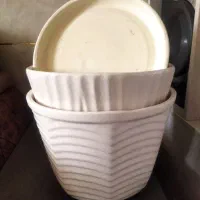 گلدان