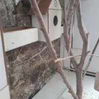 قفس ام دی اف