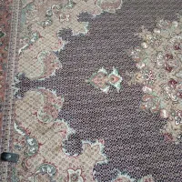 فرش|فرش|مشهد, طبرسی شمالی|دیوار