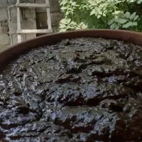 رب آلوچه محلی