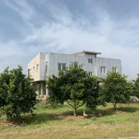 ۱۰۰۰۰ متر سردخانه (سرتینگ)