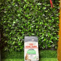 غذای خشک گربه رویال کنین دایجستیو (اورجینال)