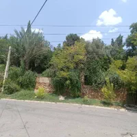 منزل مبله خانه سوئیت آپارتمان ۱۱۰ متری|اجارهٔ کوتاه‌مدت آپارتمان و سوئیت|شیراز, باغ تخت|دیوار