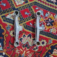 دوتا شیر  و یک دوش