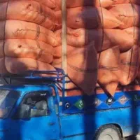 فروش کاه قیمت مناسب