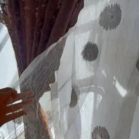 پرده|پرده، رانر، رومیزی|فسا, |دیوار