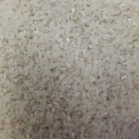 لاشه و نیم دانه برنج هاشمی سورتینگ زده|خوردنی و آشامیدنی|بندر انزلی, طالب آباد|دیوار