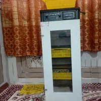 دستگاه جوجه کشی