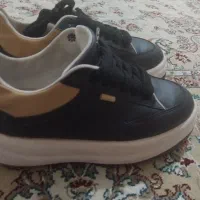 کالج و کتونی