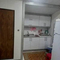 اجاره ویلای جنگلی