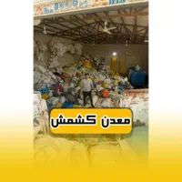 پخش کشمش حلوایی بیدانه مویز پلویی آفتاب خشک فخری|خوردنی و آشامیدنی|تاکستان, |دیوار