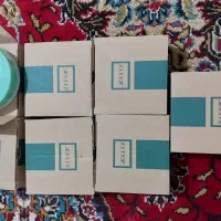 ددکتور دودی